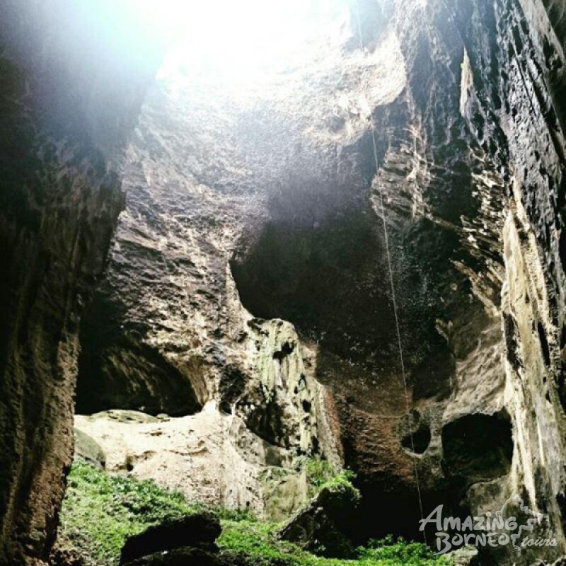Gomantong Caves Adventure